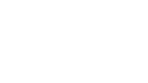 DayZ logo